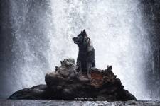 Alena GUIGNABODET - NA MOON PICTURES