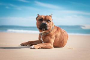 Pascal RAZANAKOTO - FLAIRPIX IMAGES