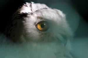 Marie-Emmanuelle DIOT LAPORTE - Memograph